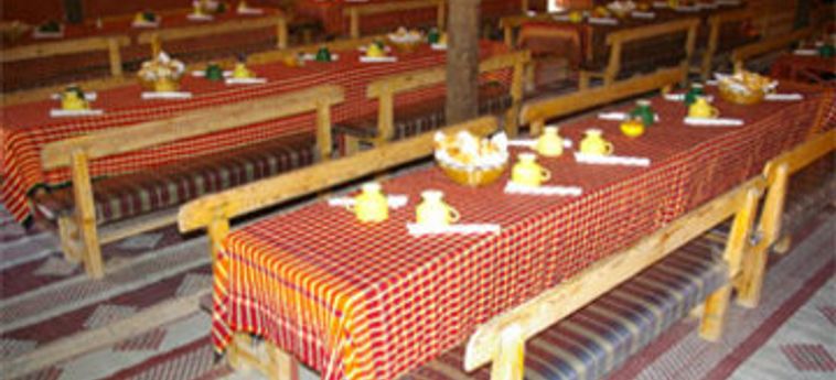 Hotel Campement Mehari Zaafrane:  DOUZ