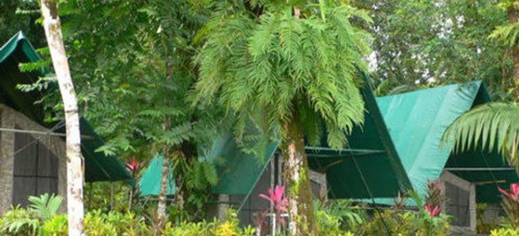 Hotel Corcovado Adventures Tent Camp:  DRAKE BAY