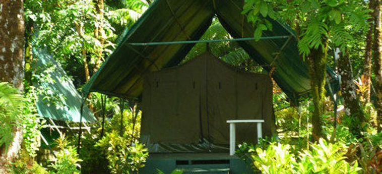 Hotel Corcovado Adventures Tent Camp:  DRAKE BAY