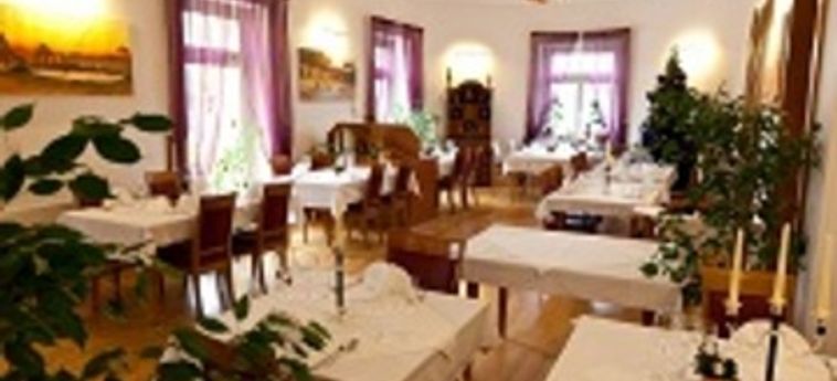 Hotel Villa De Baron:  DRESDE