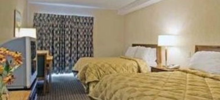 Hotel Comfort Inn Dryden:  DRYDEN
