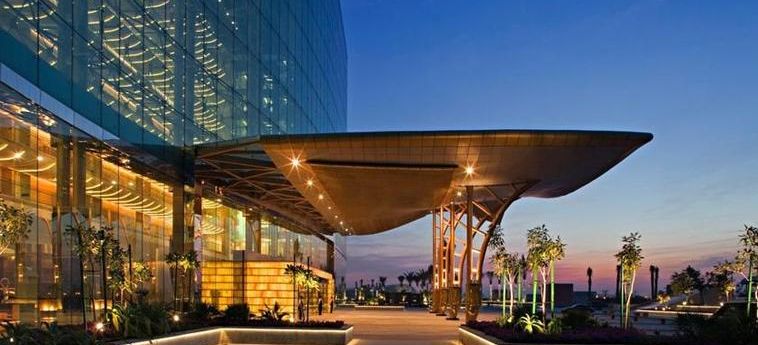 Hotel The Meydan:  DUBAI