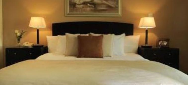Hotel Nuran Greens Serviced Residences:  DUBAI