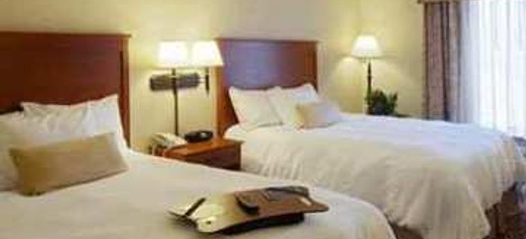 Hotel Hampton Inn Dubuque:  DUBUQUE (IA)