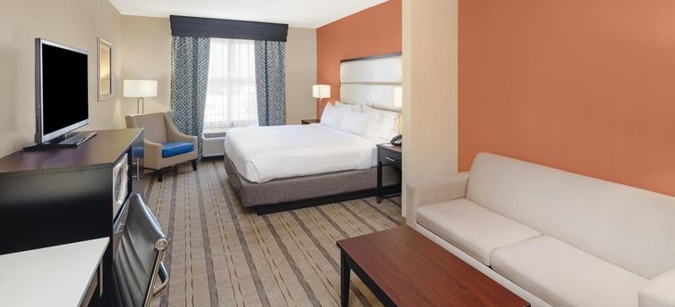Hotel Holiday Inn Express & Suites Atlanta Ne - Duluth:  DULUTH (GA)