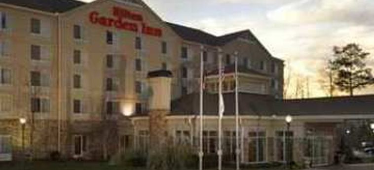 Hotel HILTON GARDEN INN ATLANTA NE-GWINNETT SUGARLOAF