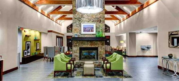 Hotel Hampton Inn & Suites Atlanta/duluth/gwinnett County:  DULUTH (GA)