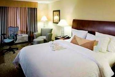 Hotel Hilton Garden Inn Dallas-Duncanville:  DUNCANVILLE (TX)