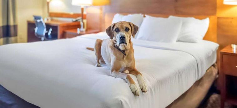 Hotel Quality Inn &Amp; Suites - Durango Durango (Co): Foto 