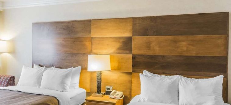 Hotel Quality Inn &Amp; Suites - Durango Durango (Co) : Photo 