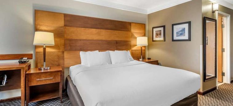Hotel Quality Inn &Amp; Suites - Durango Durango (Co) : Photo 