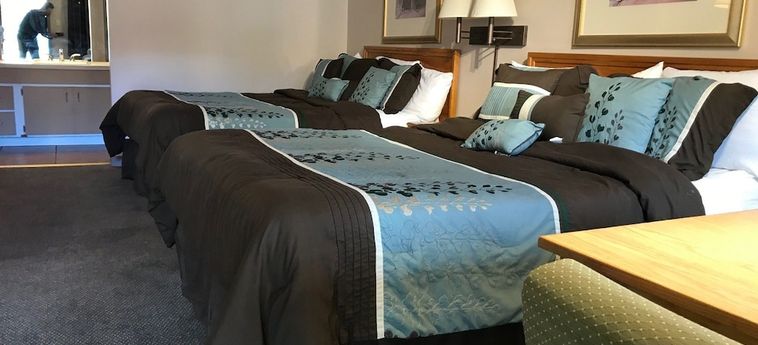 Hotel Adobe Inn Durango (Co): Foto 