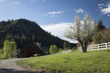 Hotel Antlers On The Creek Bed &Amp; Breakfast Durango (Co): Photo 