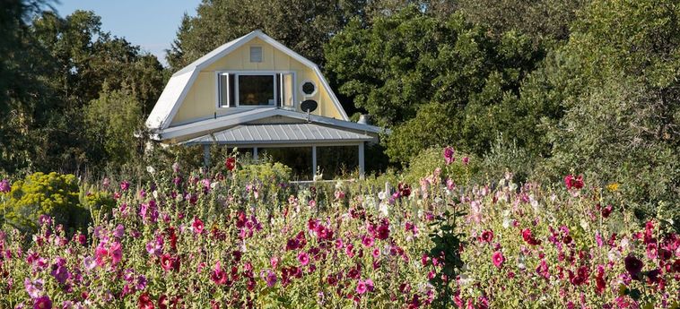 Hotel Blue Lake Ranch Durango (Co): Foto 