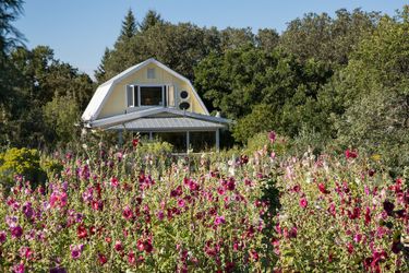 Hotel Blue Lake Ranch Durango (Co): Photo 