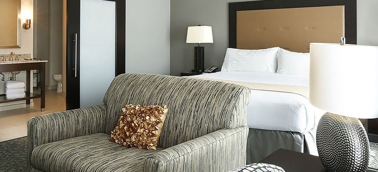 Hotel Holiday Inn & Suites East Peoria:  EAST PEORIA (IL)