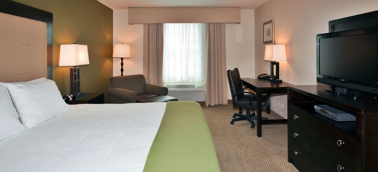 Hotel Holiday Inn Express & Suites Dewitt (Syracuse):  EAST SYRACUSE (NY)