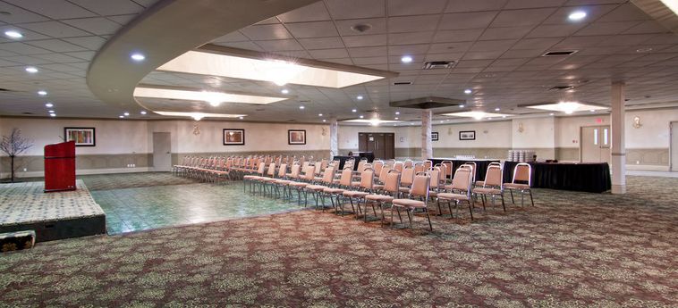 Hotel Holiday Inn Sherwood Park - Conference Ctr:  EDMONTON