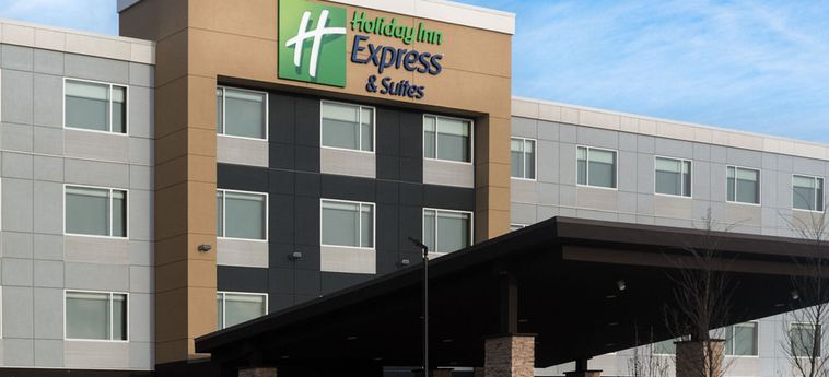 Hotel Holiday Inn Express & Suites West Edmonton-Mall Area:  EDMONTON