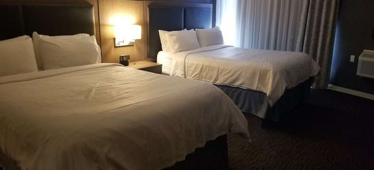 Hotel Holiday Inn Express Edmonton Downtown (.) Edmonton: Foto 