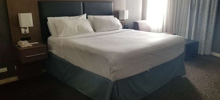 Hotel Holiday Inn Express Edmonton Downtown (.) Edmonton : Photo 