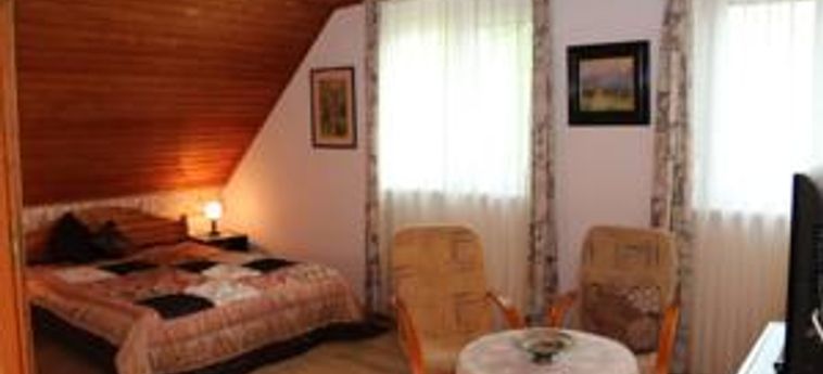 Hotel BACCHUS GUESTHOUSE