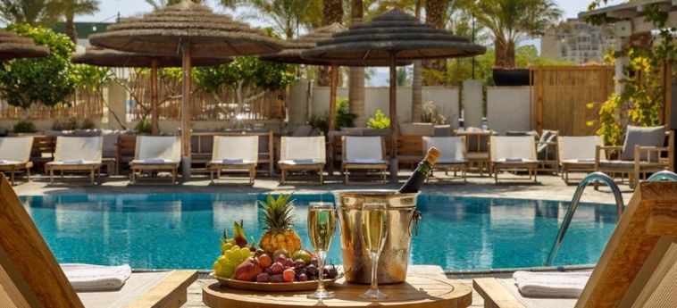 Play Eilat Hotel Eilat : Photo 