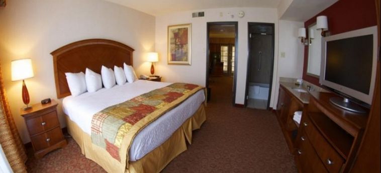 Hotel Embassy Suites By Hilton El Paso:  EL PASO (TX)