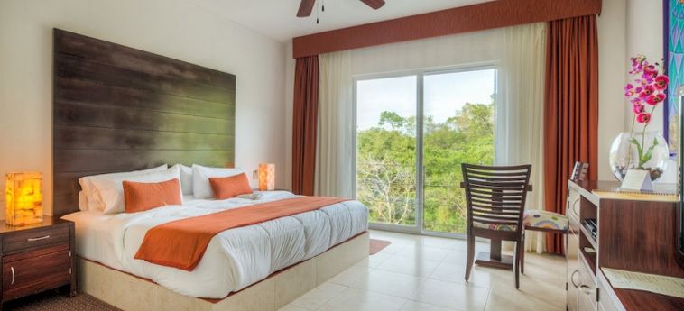 Hotel Villa Azalea Inn & Organic Farm:  EL TUITO - JALISCO