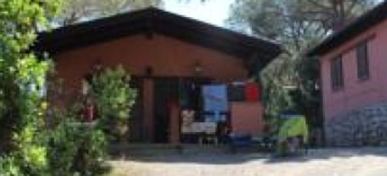 Hotel Camping Lacona Pineta:  ELBA INSEL