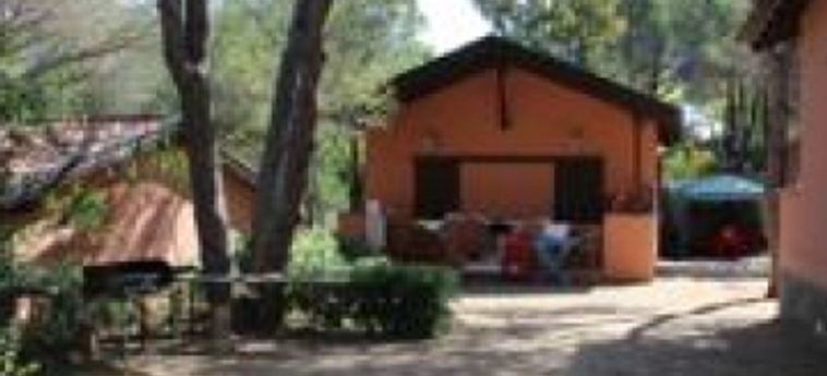 Hotel Camping Lacona Pineta:  ELBA INSEL