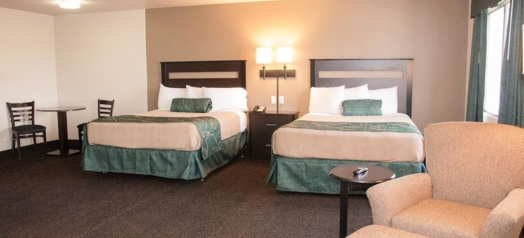 Hotel Baymont By Wyndham Elko Elko (Nv): Foto 