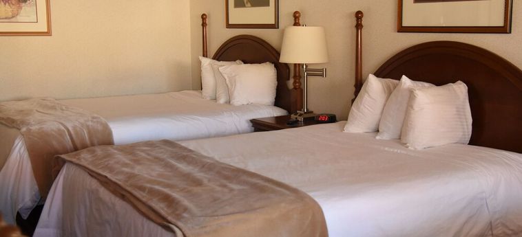 Hotel Thunderbird Motel Elko (Nv): Foto 