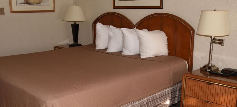 Hotel Thunderbird Motel Elko (Nv) : Photo 