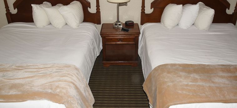 Hotel Thunderbird Motel Elko (Nv): Photo 