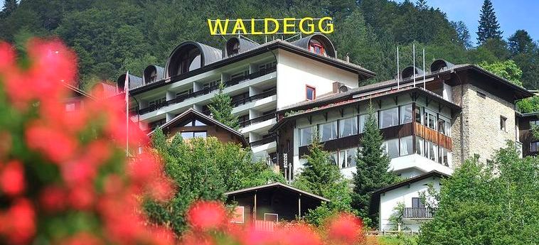 Hotel Waldegg:  ENGELBERG
