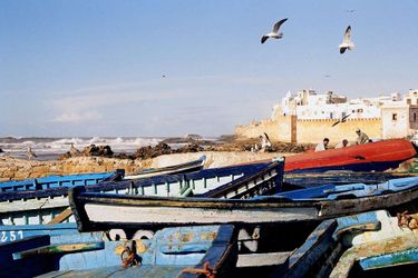 Tweets Hotel Essaouira: Photo 