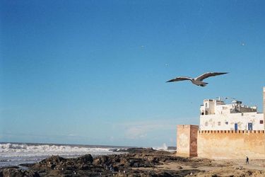 Tweets Hotel Essaouira: Photo 