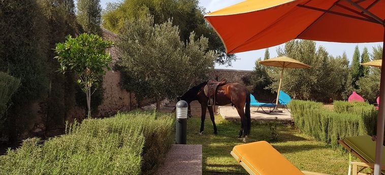 Hotel Villa Al-Jaouhara Essaouira: Foto 
