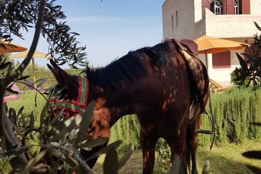Hotel Villa Al-Jaouhara Essaouira: Photo 