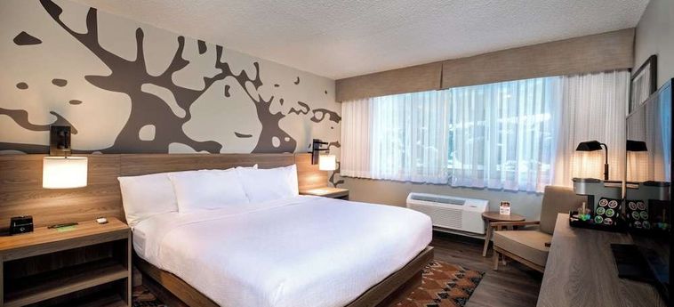 Hotel Holiday Inn Estes Park By Ihg Estes Park (Co): Foto 