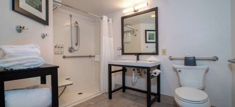 Hotel Holiday Inn Estes Park By Ihg Estes Park (Co): Foto 