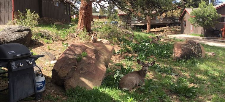 Hotel Brynwood On The River Estes Park (Co): Foto 