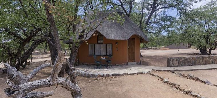 Hotel Hobatere Lodge Etosha National Park: Foto 