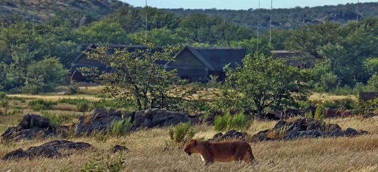 Hotel Hobatere Lodge Etosha National Park: Foto 