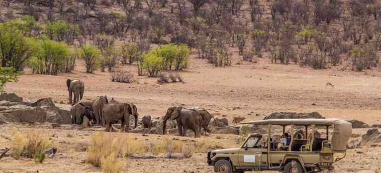 Hotel Hobatere Lodge Etosha National Park: Foto 
