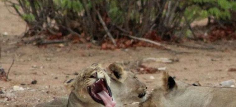 Hotel Hobatere Lodge:  ETOSHA NATIONAL PARK