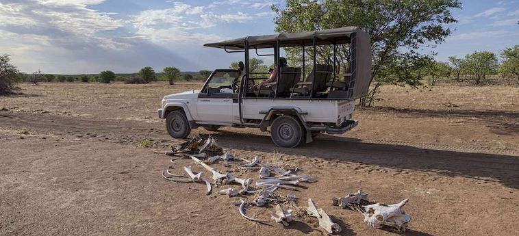 Hotel Hobatere Lodge Etosha National Park: Foto 