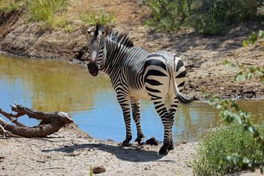 Hotel Hobatere Lodge Etosha National Park: Photo 