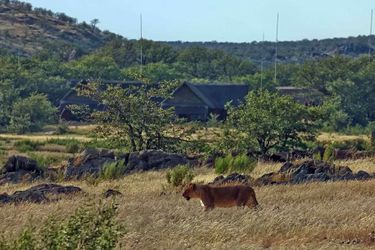 Hotel Hobatere Lodge Etosha National Park: Photo 